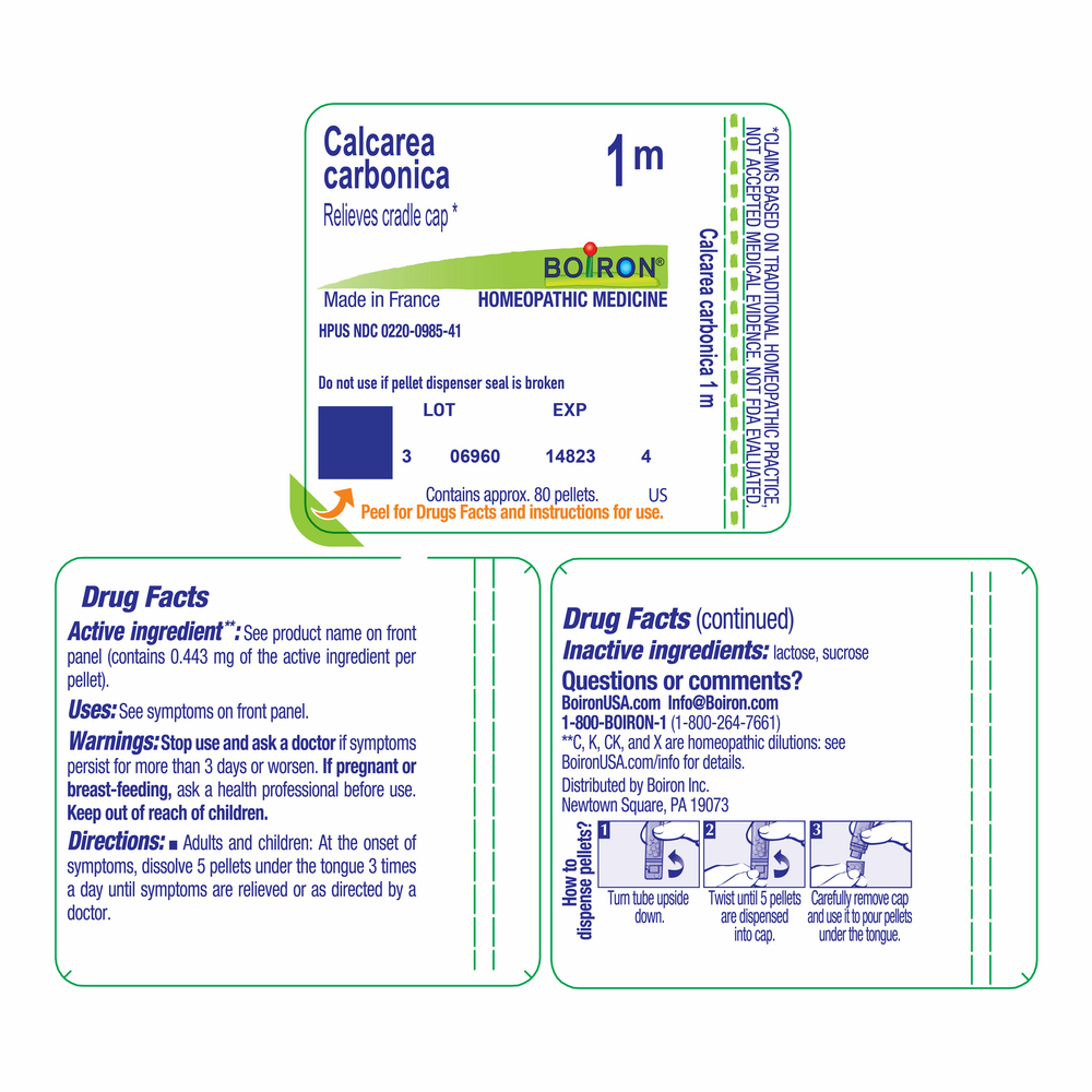 Calcarea Carbonica 1m