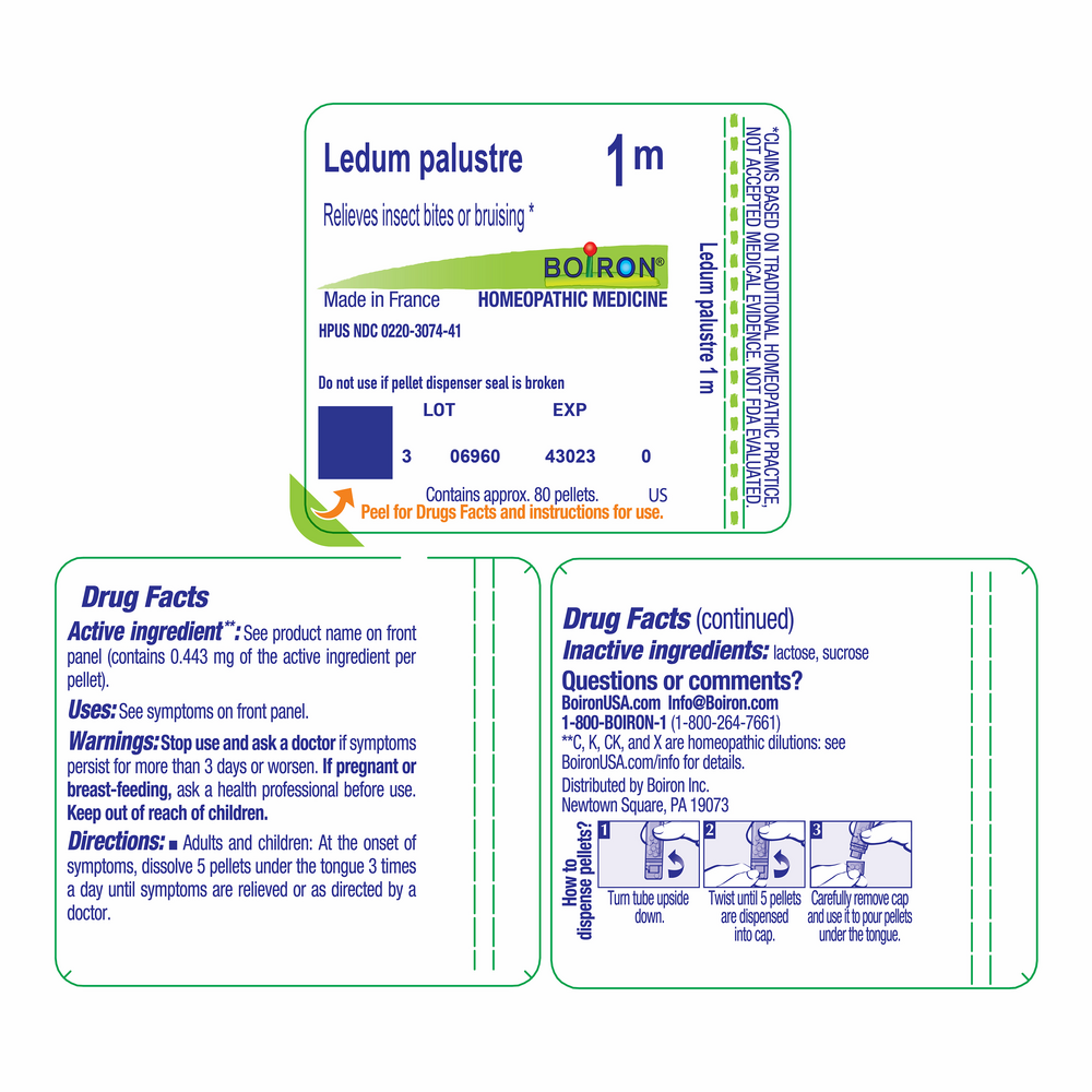 Ledum Palustre 1m