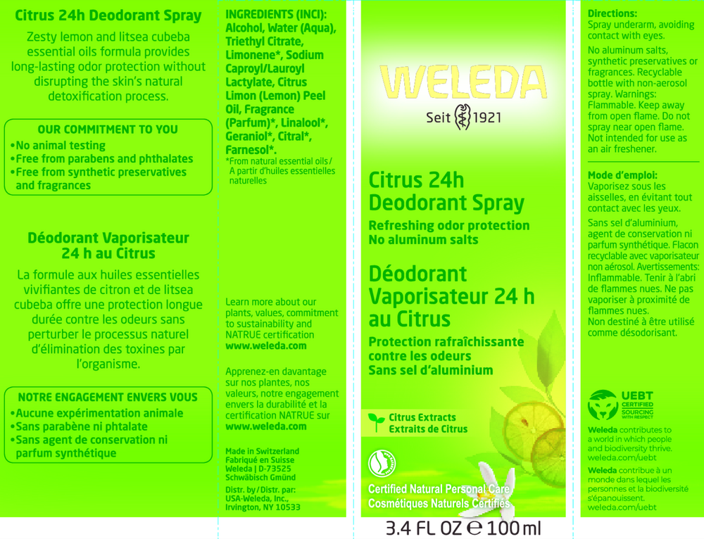 Citrus 24H Deodorant