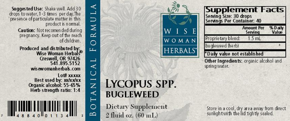 Lycopus virginicus - bugleweed