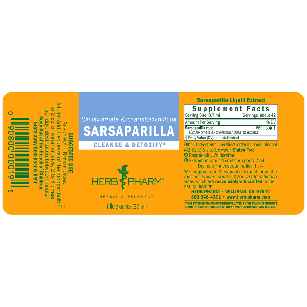 Sarsaparilla