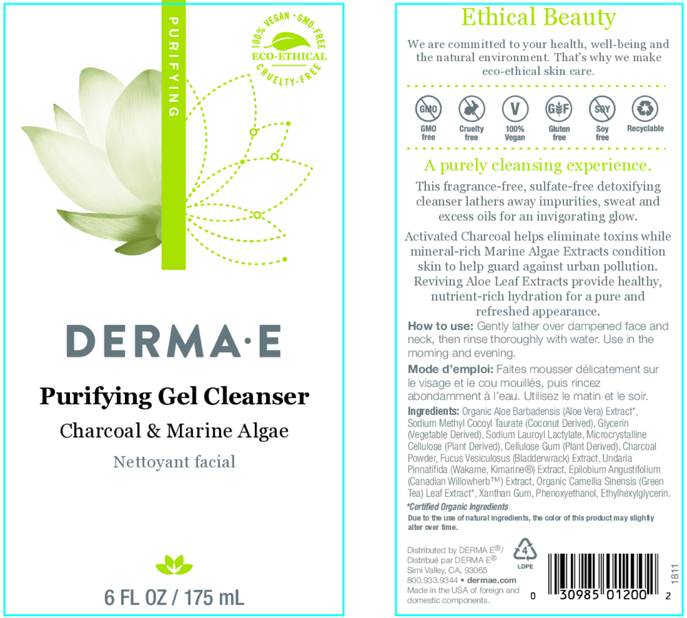 Purifying Gel Cleanser