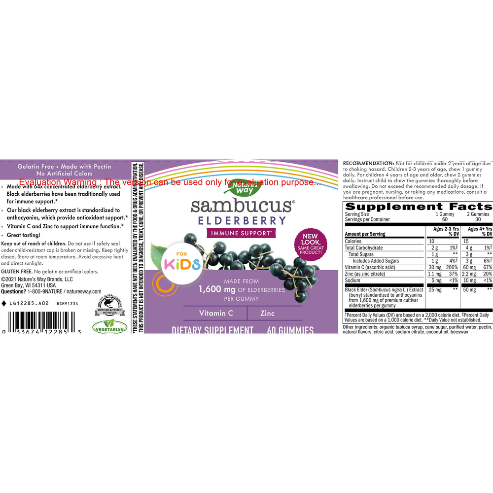 Sambucus for Kids