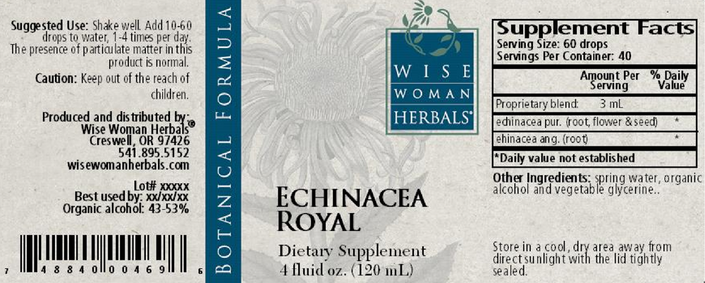 Echinacea Royal