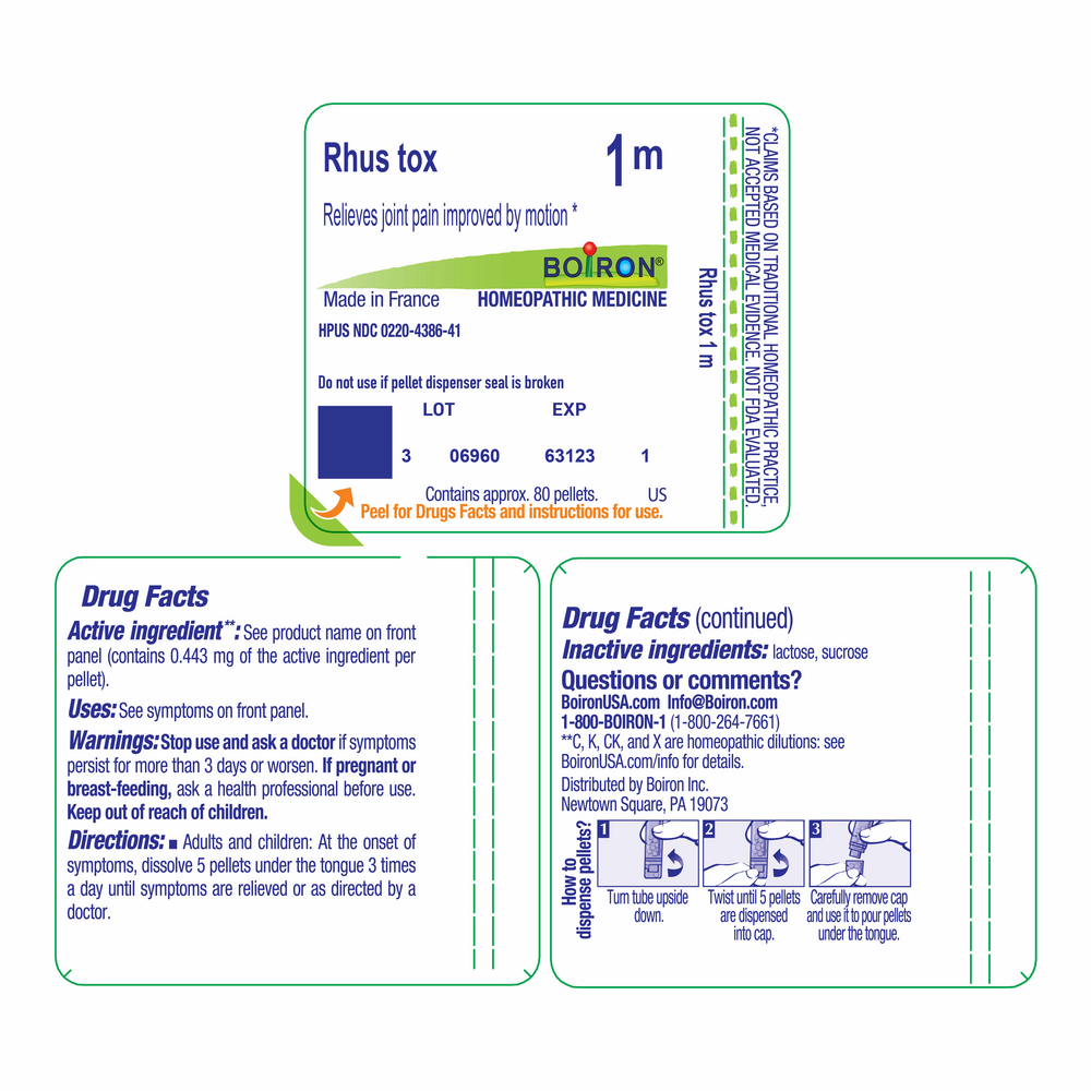 Rhus Toxicodendron 1m