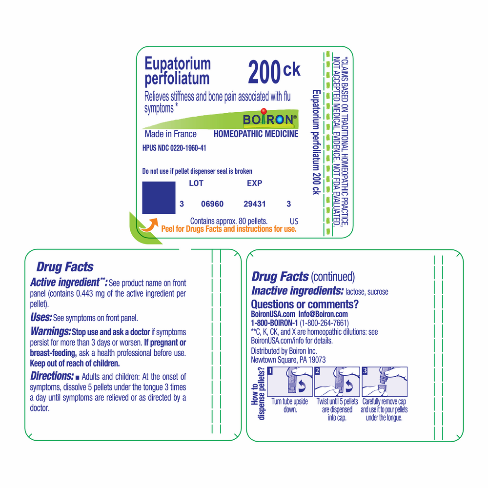 Eupatorium Perfoliatum 200ck