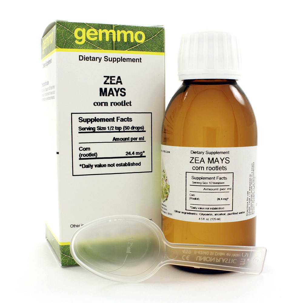 Zea mais