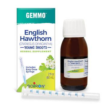English Hawthorne/Crataegus Oxyacantha