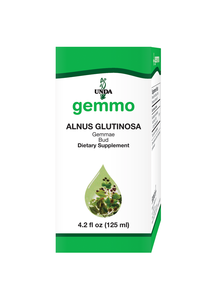 Alnus Glutinosa