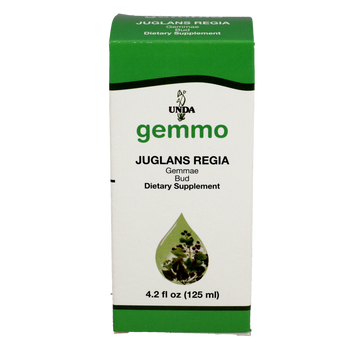 Juglans regia