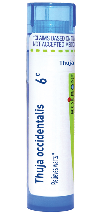 Thuja Occidentalis 6c