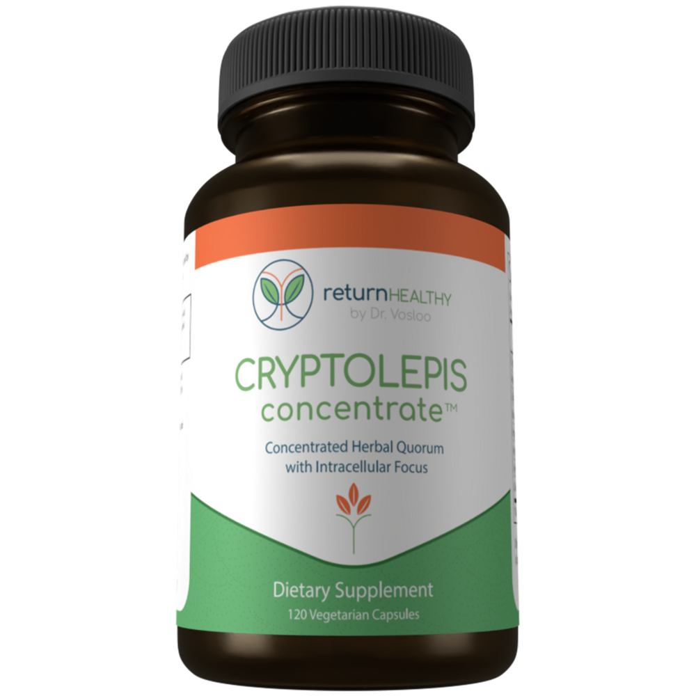 Cryptolepis Concentrate