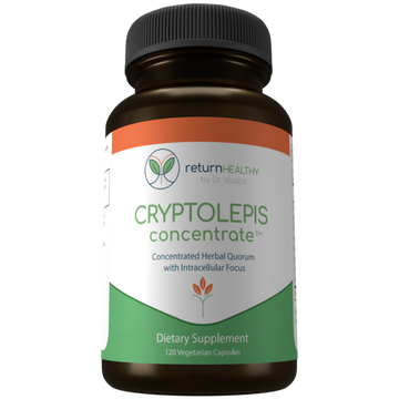 Cryptolepis Concentrate