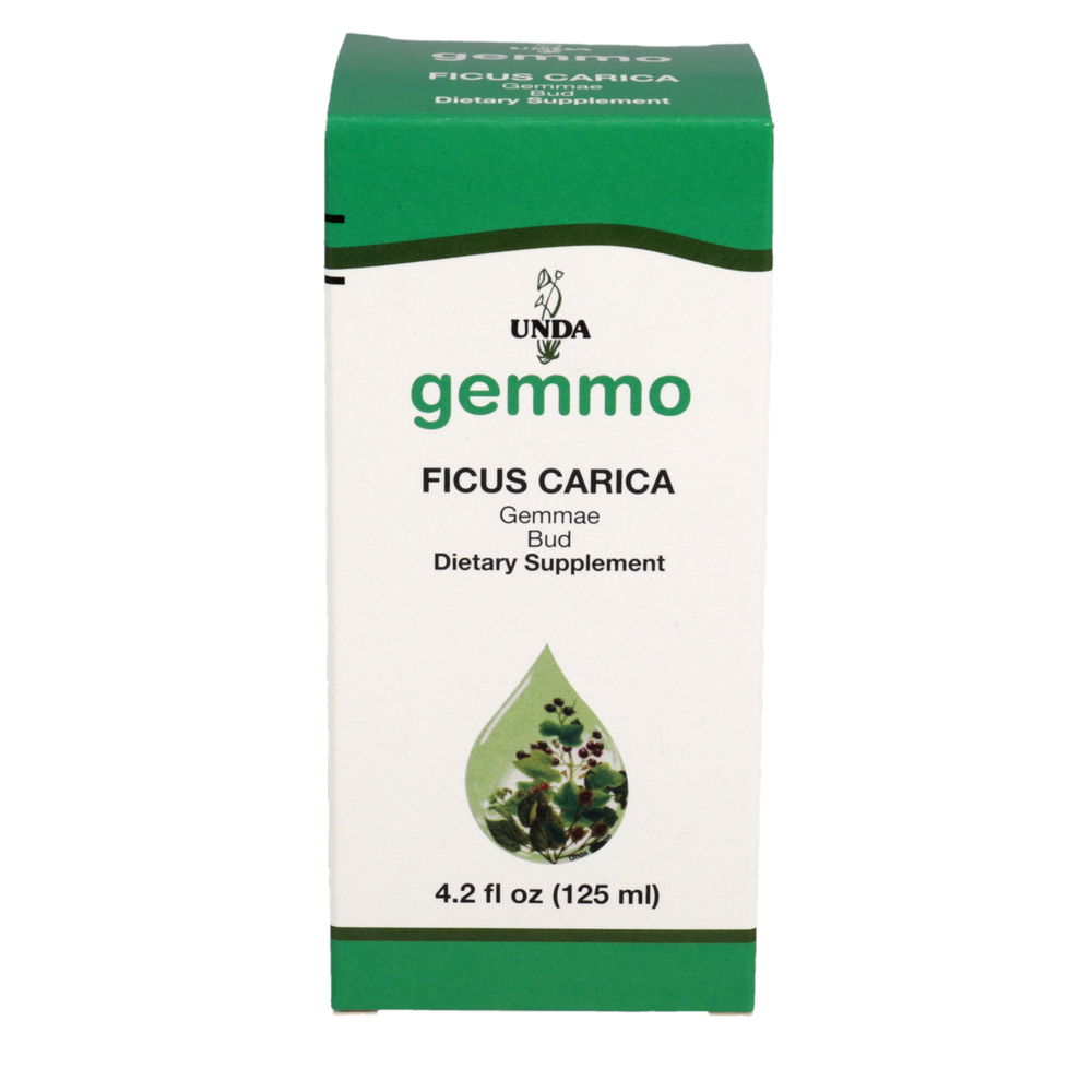 Ficus carica