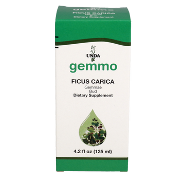 Ficus carica