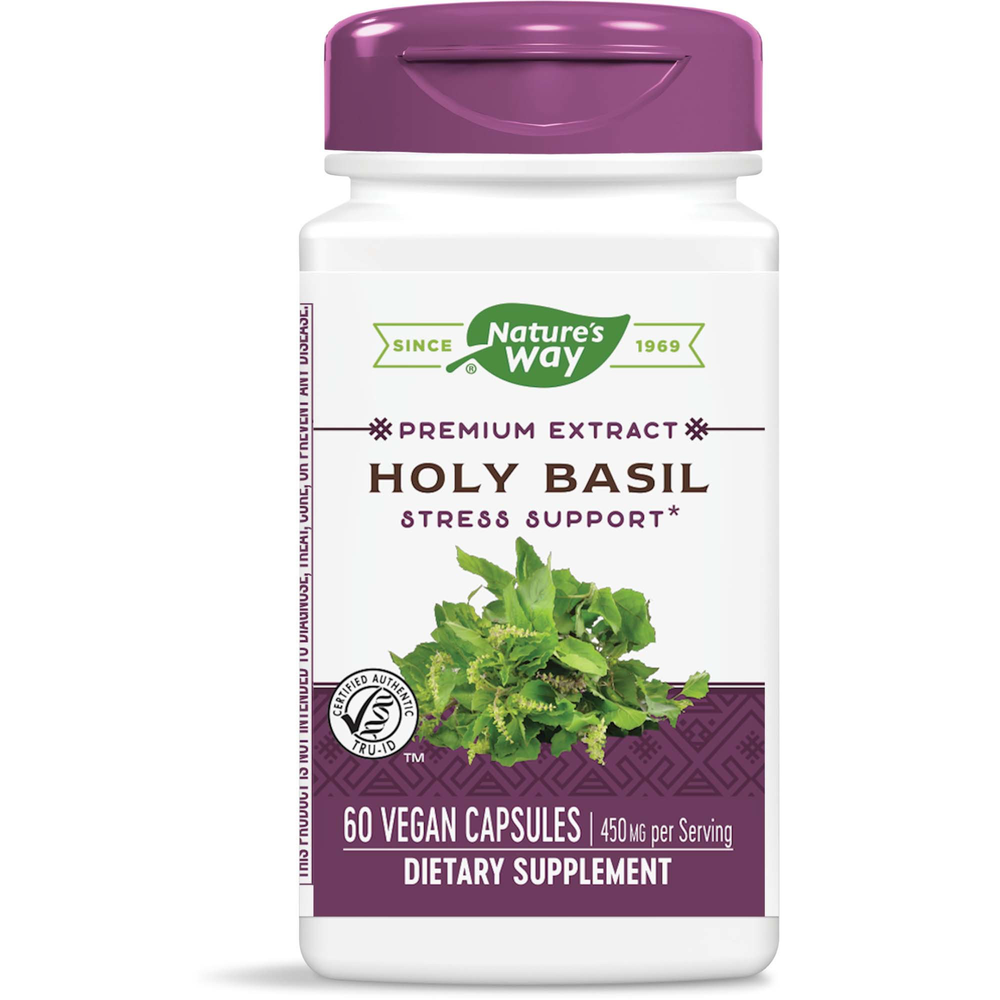 Holy Basil