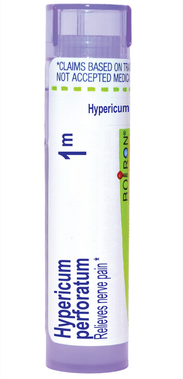 Hypericum Perforatum 1m