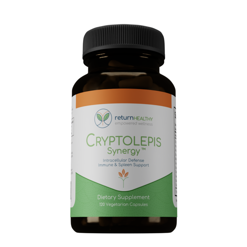 Cryptolepis Synergy
