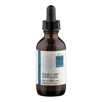 Ulmus rubra - slippery elm