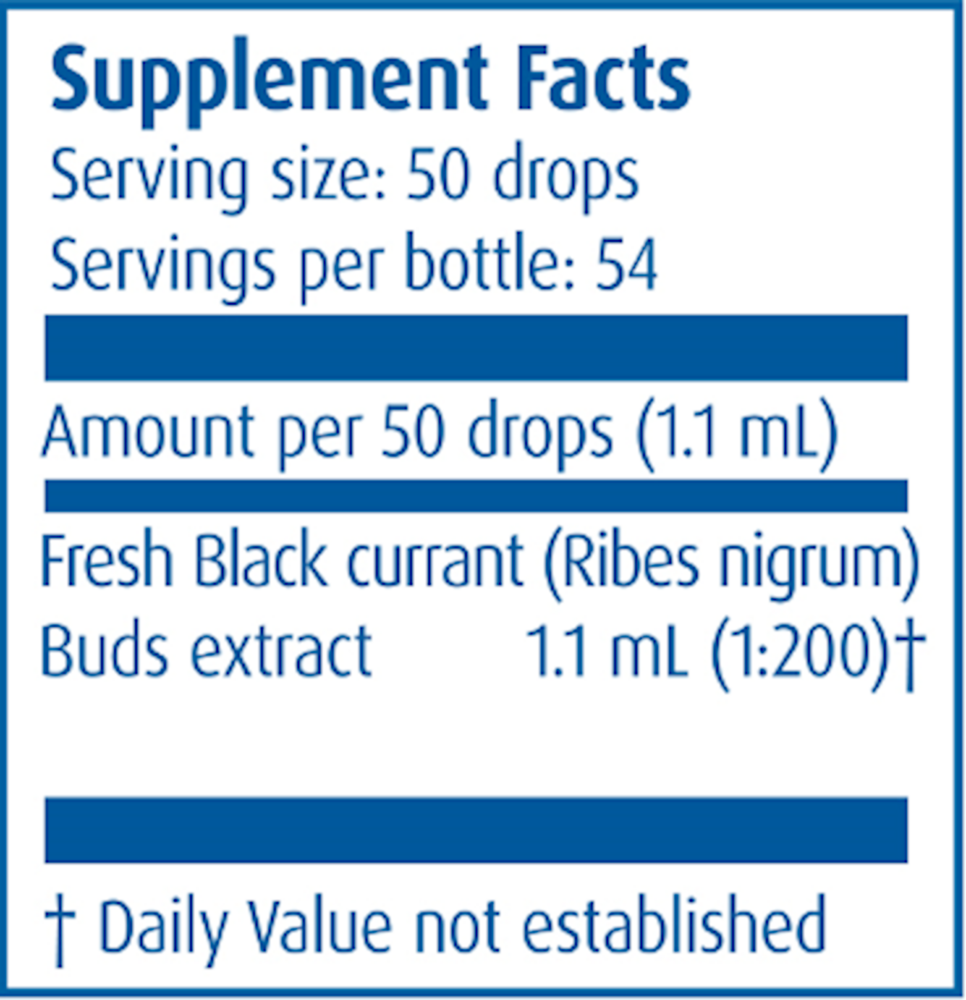 Black Currant/Ribus nigrum