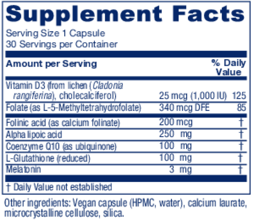 Ovum PM