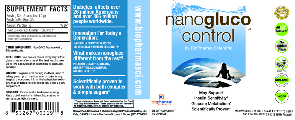 NanoGluco Control