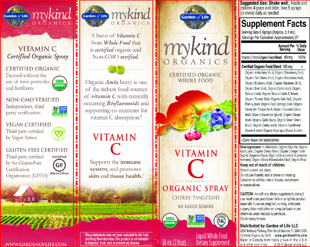 MyKind Organics Amla Vitamin C - Cherry Tangerine Spray