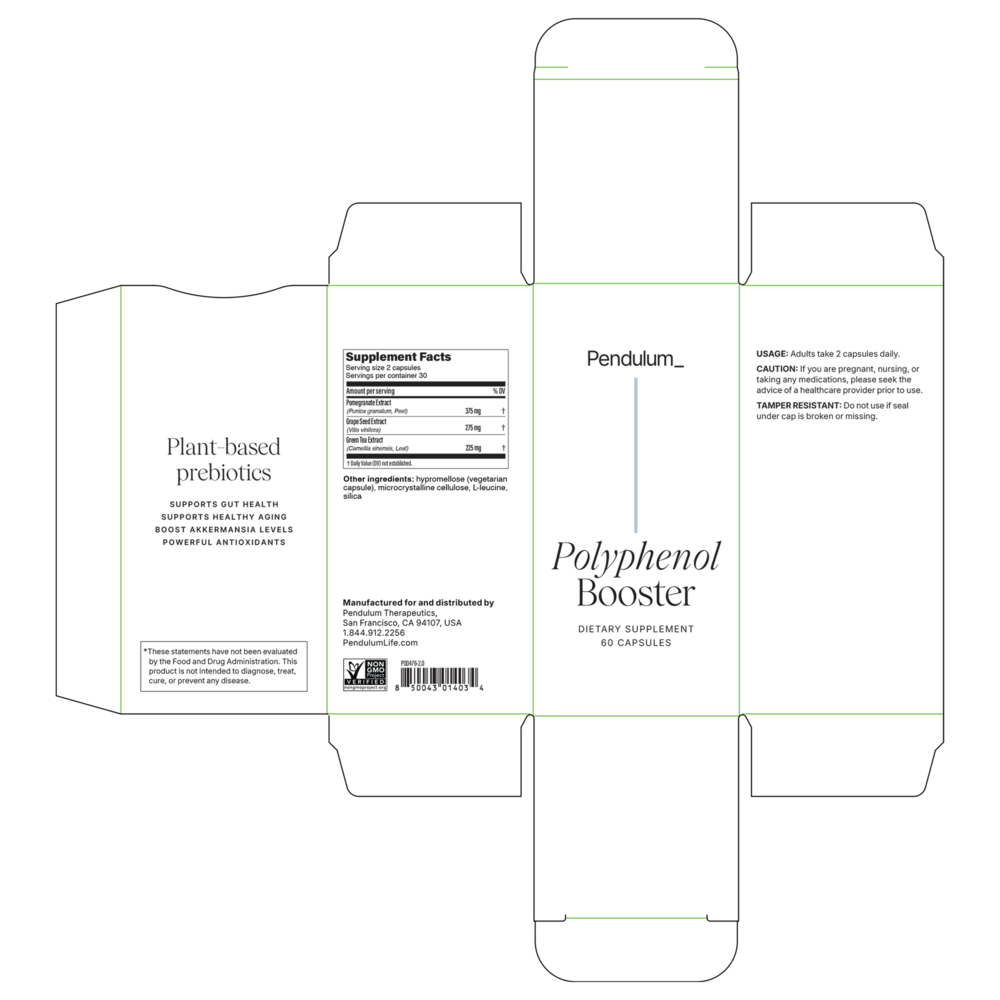 Polyphenol Booster