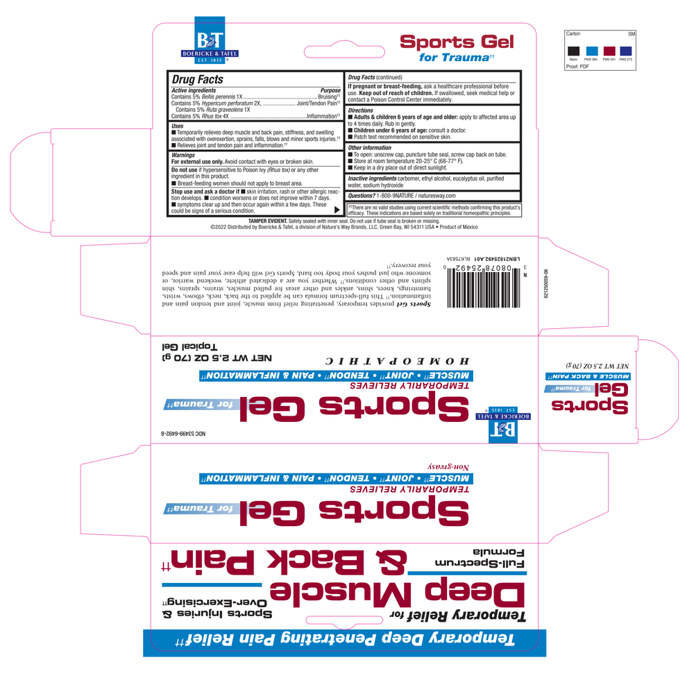 Sports Gel