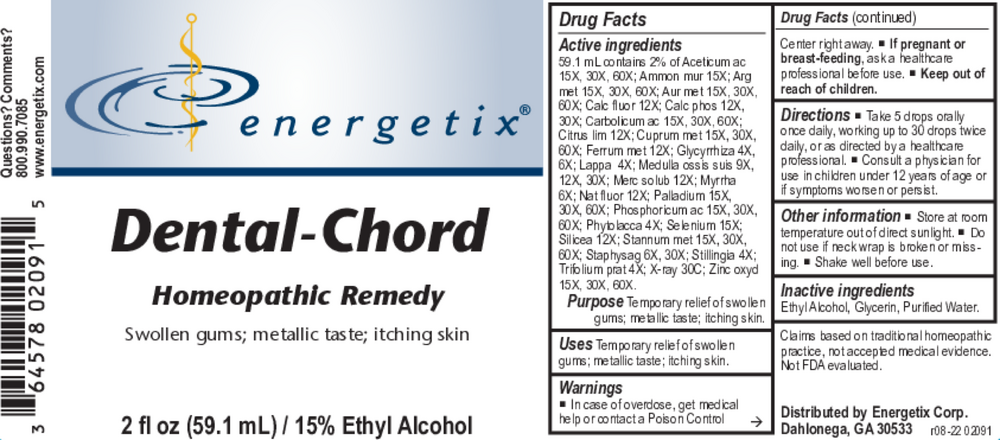 Dental-Chord