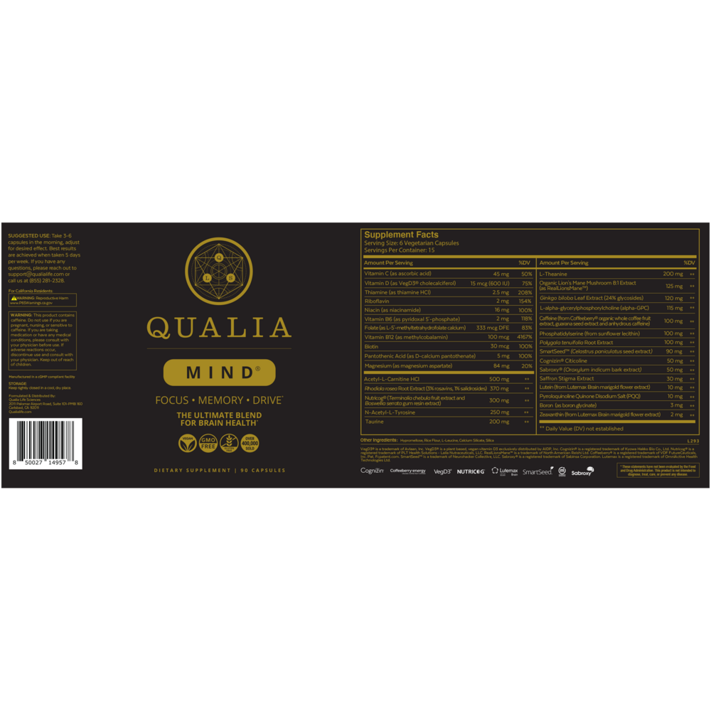Qualia Mind 2.0
