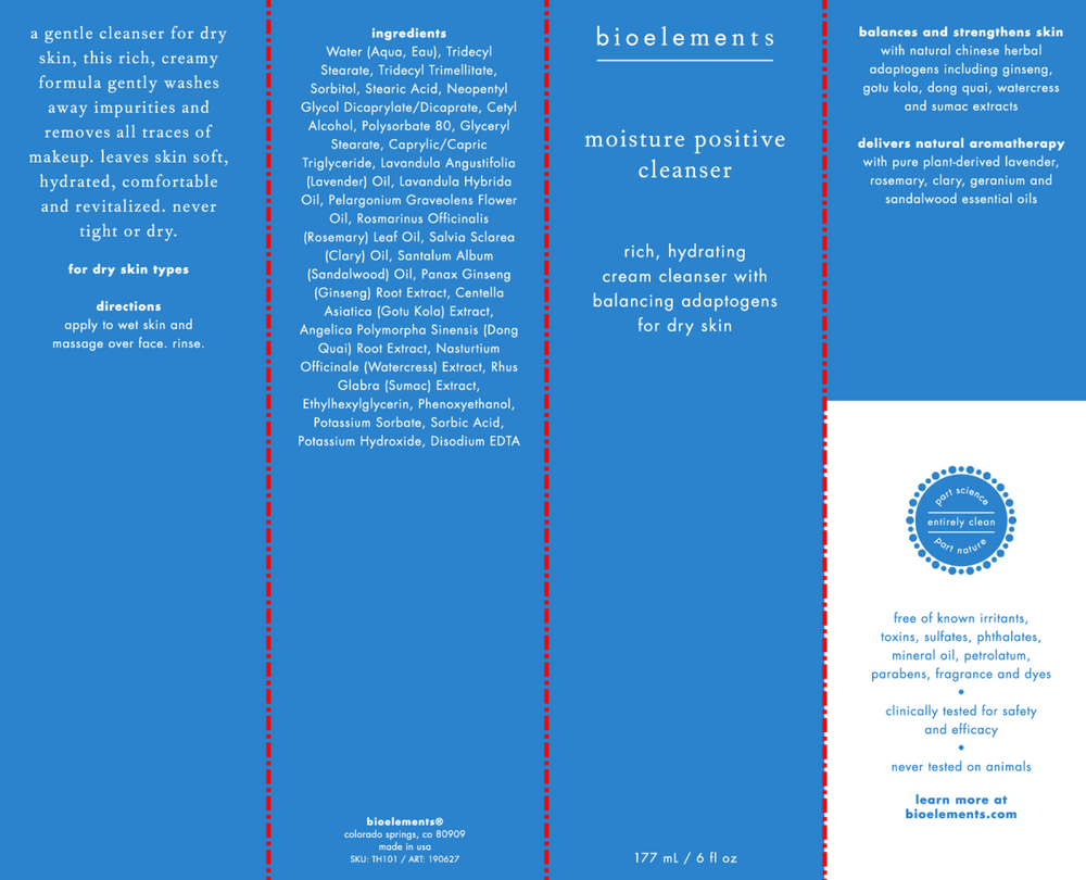 Moisture Positive Cleanser