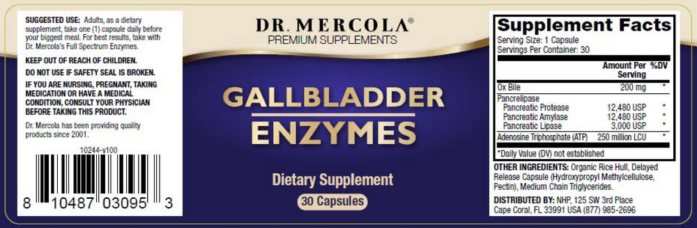 Gallbladder support