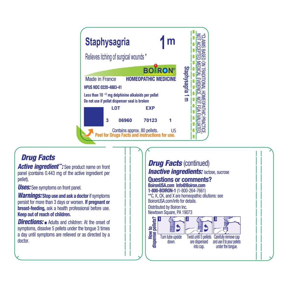 Staphysagria 1m
