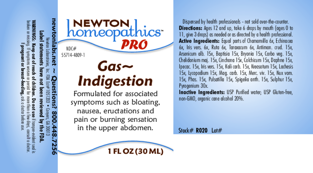 PRO Gas~Indigestion