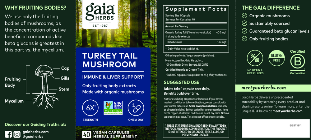 Turkey Tail Mushroom Capsules