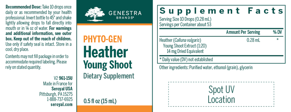 Heather Young Shoot