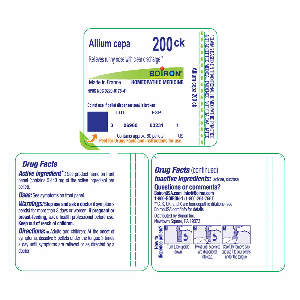 Allium Cepa 200ck