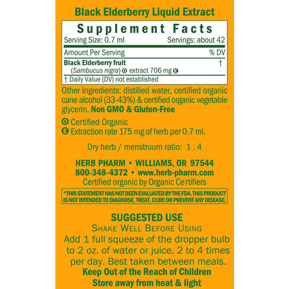 Black Elderberry Glycerite