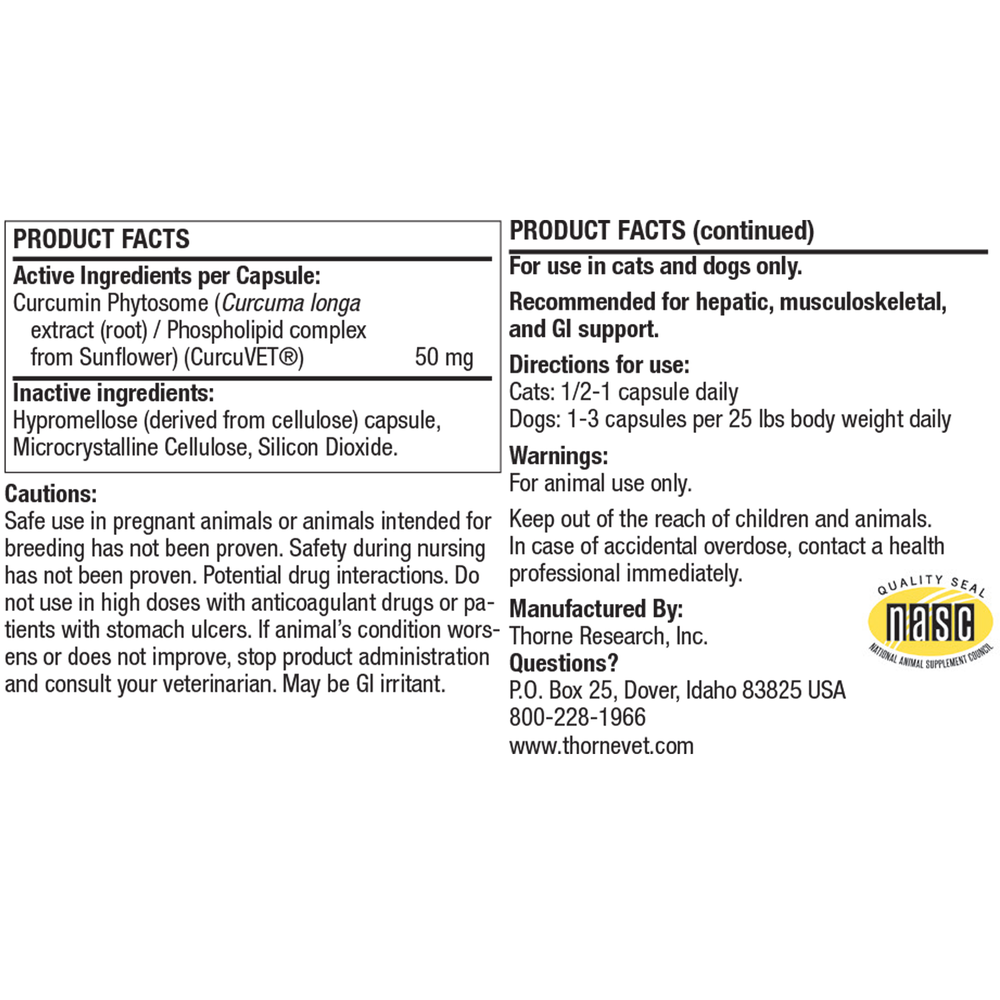 Canine Geriatric Basics