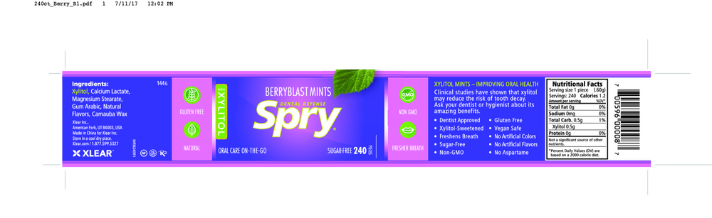 Natural Berry Blast Xylitol Mints