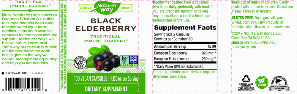Black Elderberry