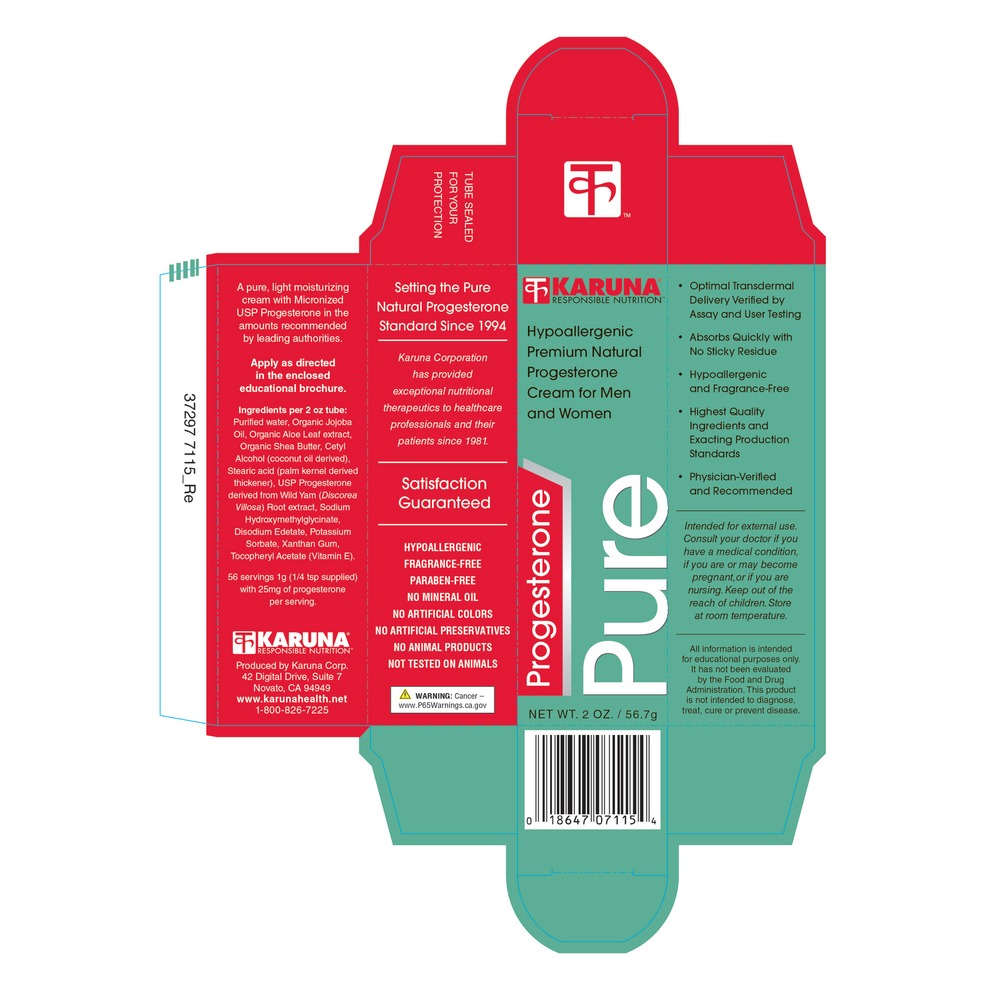 Progesterone Pure
