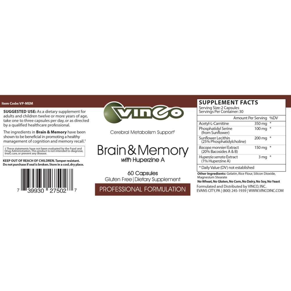 Brain & Memory