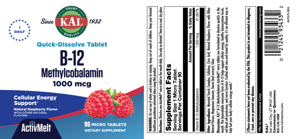 B12 Methylcobalamin 1,000 mcg Raspberry