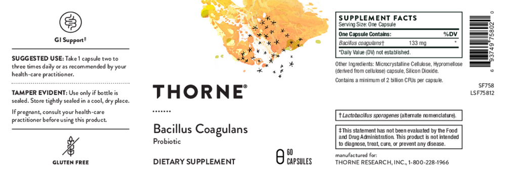 Bacillus Coagulans