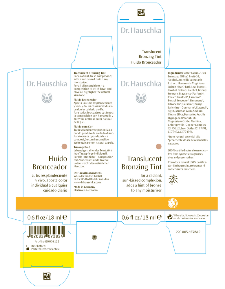 Translucent Bronzing Tint