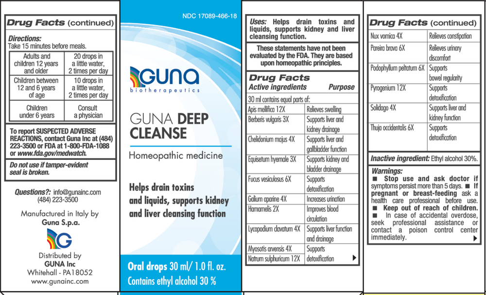 Guna Deep Cleanse