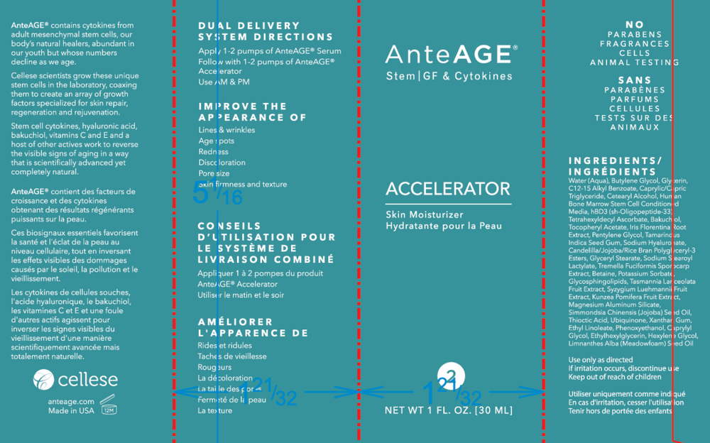 AnteAGE Accelerator