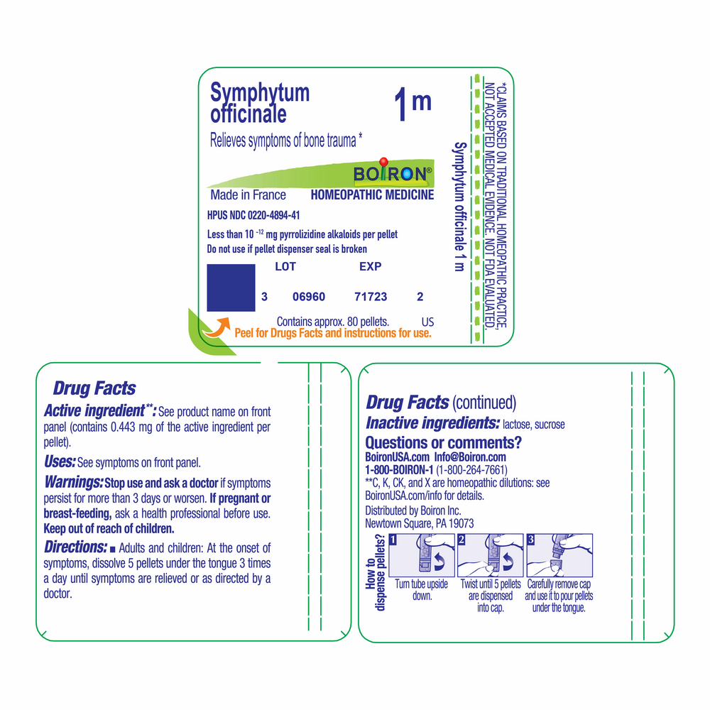 Symphytum Officinale 1m